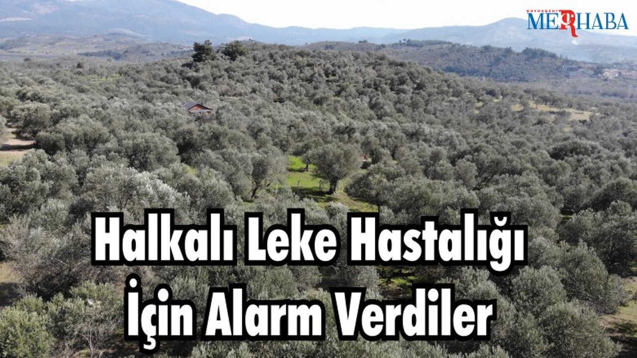 Halkalı Leke Hastalığı İçin Alarm Verdiler