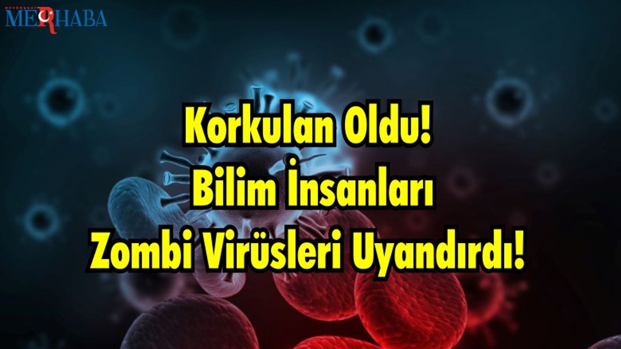 Korkulan Oldu! Bilim İnsanları Zombi Virüsleri Uyandırdı!