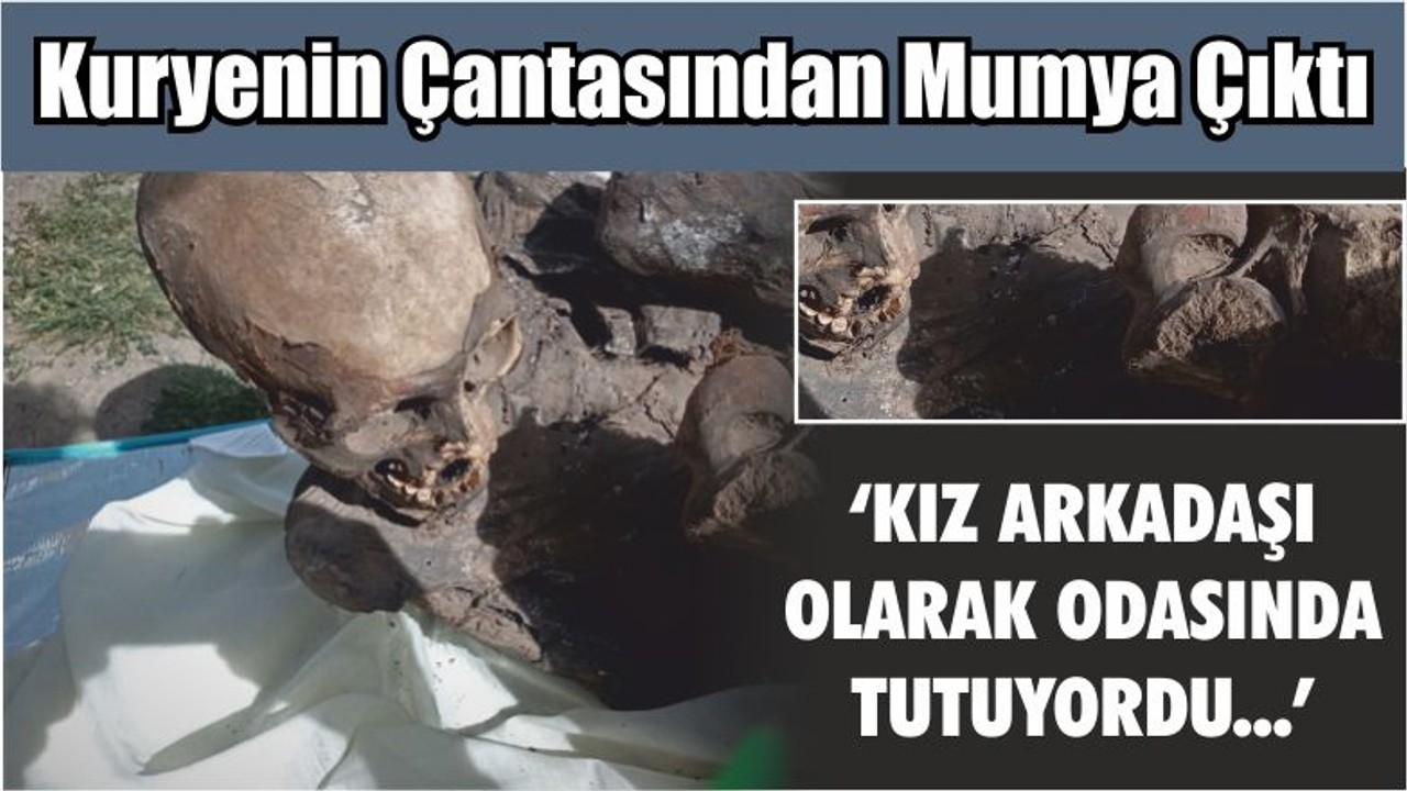 Kuryenin Çantasından Mumya Çıktı