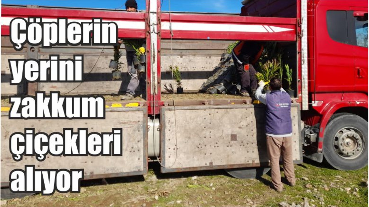 Çöplerin yerini zakkum çiçekleri alıyor