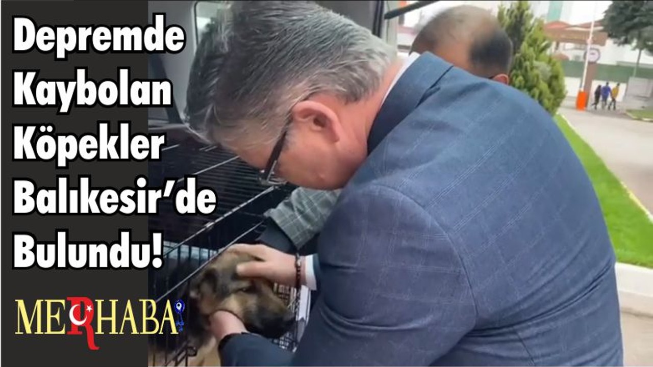 Kayıp Köpekler Balıkesir’de Bulundu!