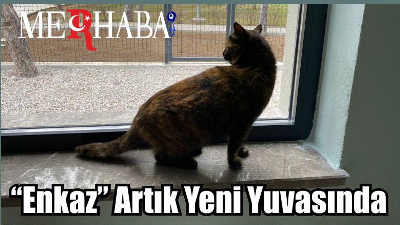 “Enkaz” Artık Yeni Yuvasında