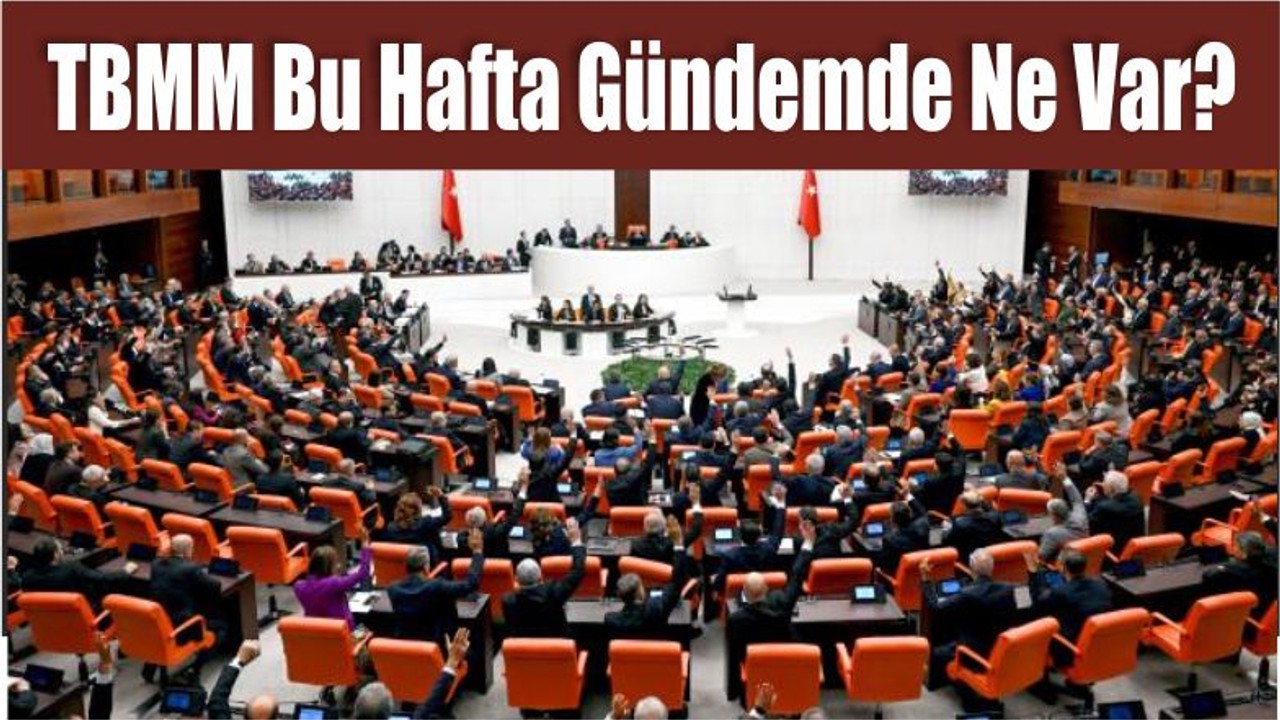 TBMM Bu Hafta Gündemde Ne Var?