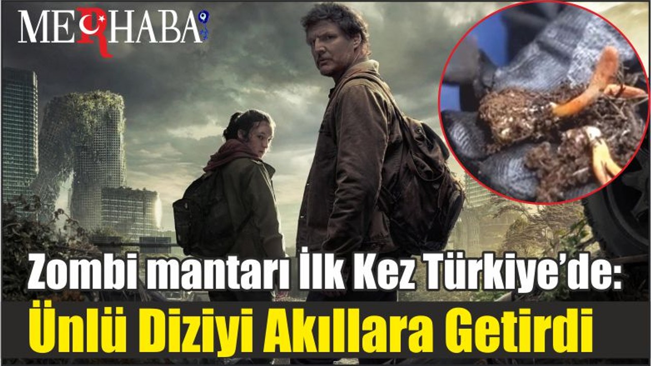 Zombi mantarı İlk Kez Türkiye’de: Ünlü Diziyi Akıllara Getirdi