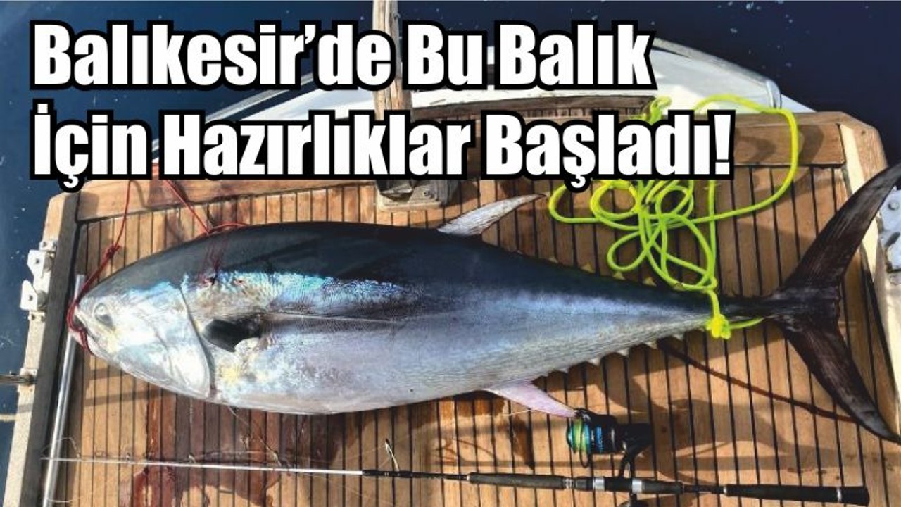 Balıkesir’de Orkinos İçin Hazırlıklar Başladı!