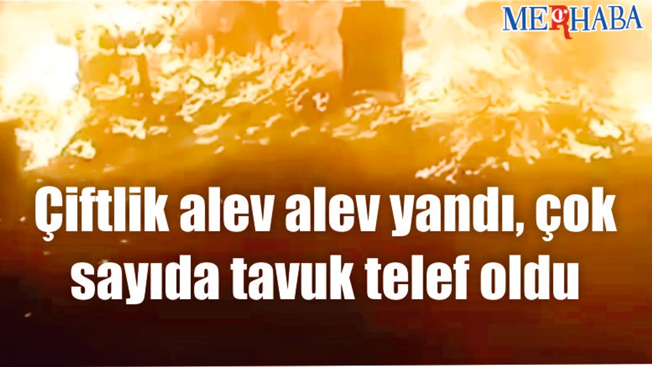 Çiftlik alev alev yandı