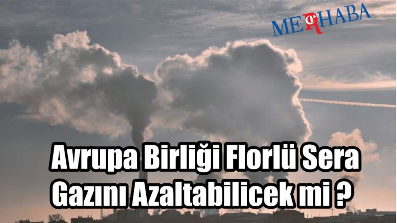 AB Florlü Gazı Azaltacak