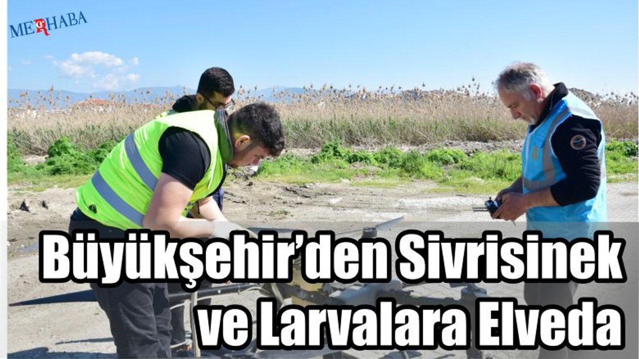 Sivrisineklere Elveda