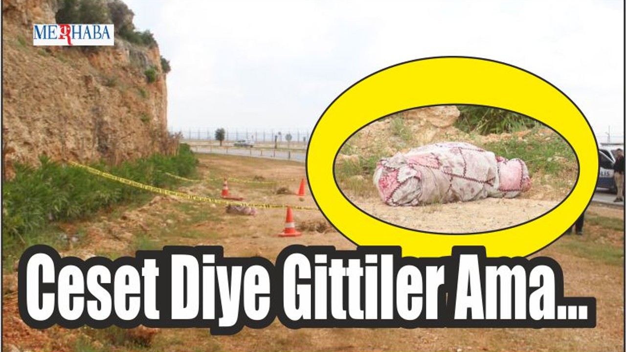 Ceset Diye Gittiler Ama