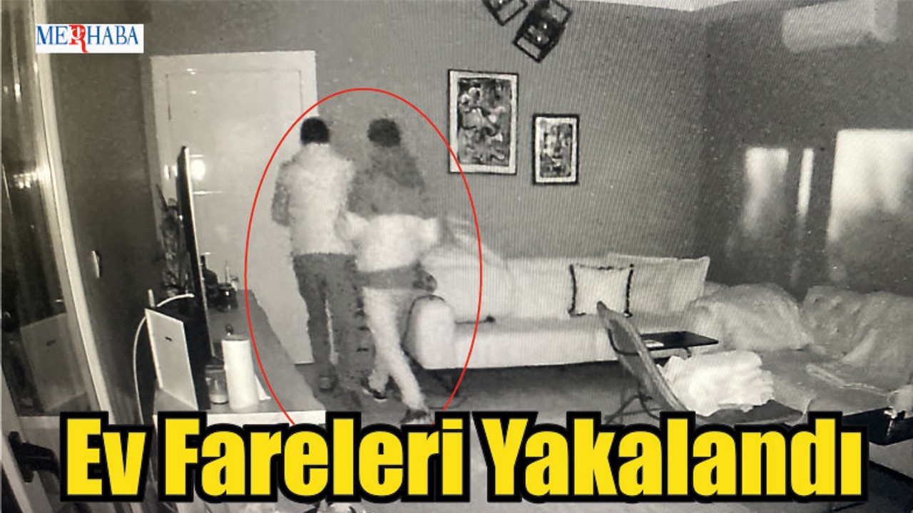 Ev Fareleri Yakalandı