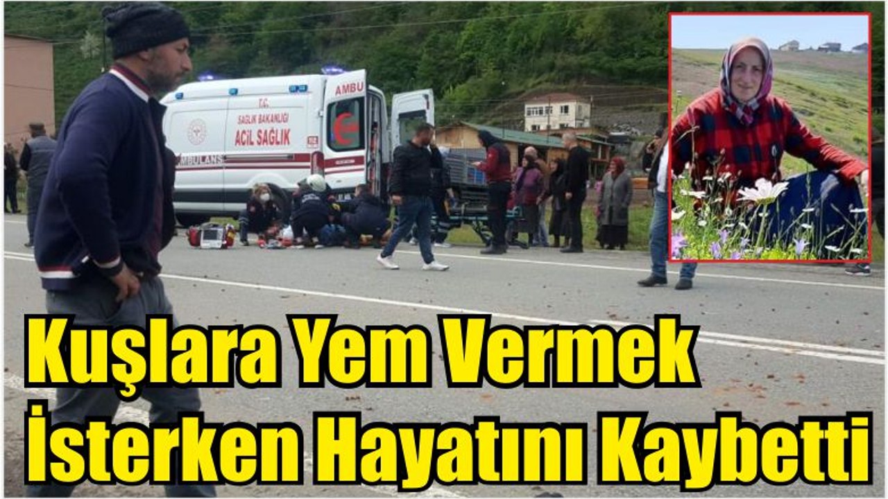 Kuşlara Yem Vermek İsterken Hayatını Kaybetti
