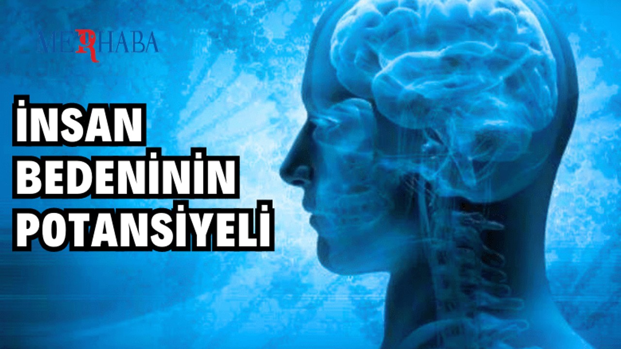 İnsan Bedeniyle İlgili Şaşırtıcı Bilgiler