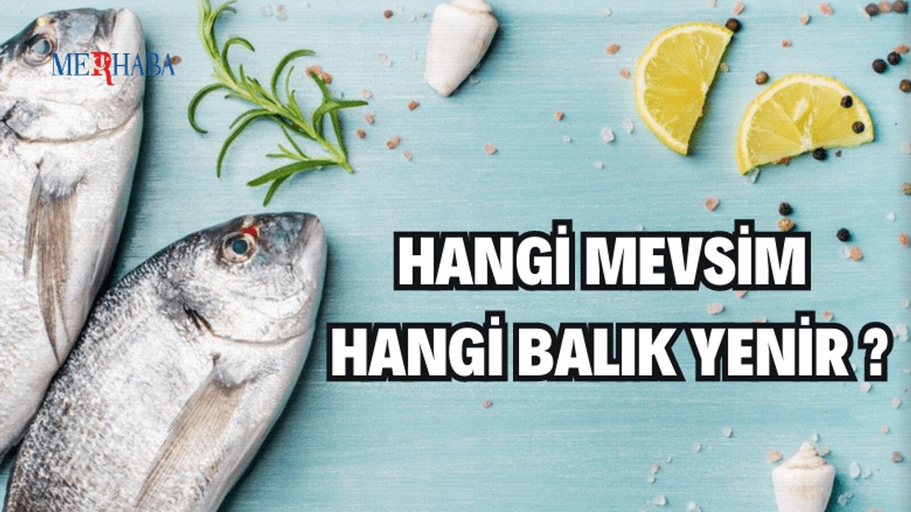 Mevsimlere Göre Balık Tüketimi