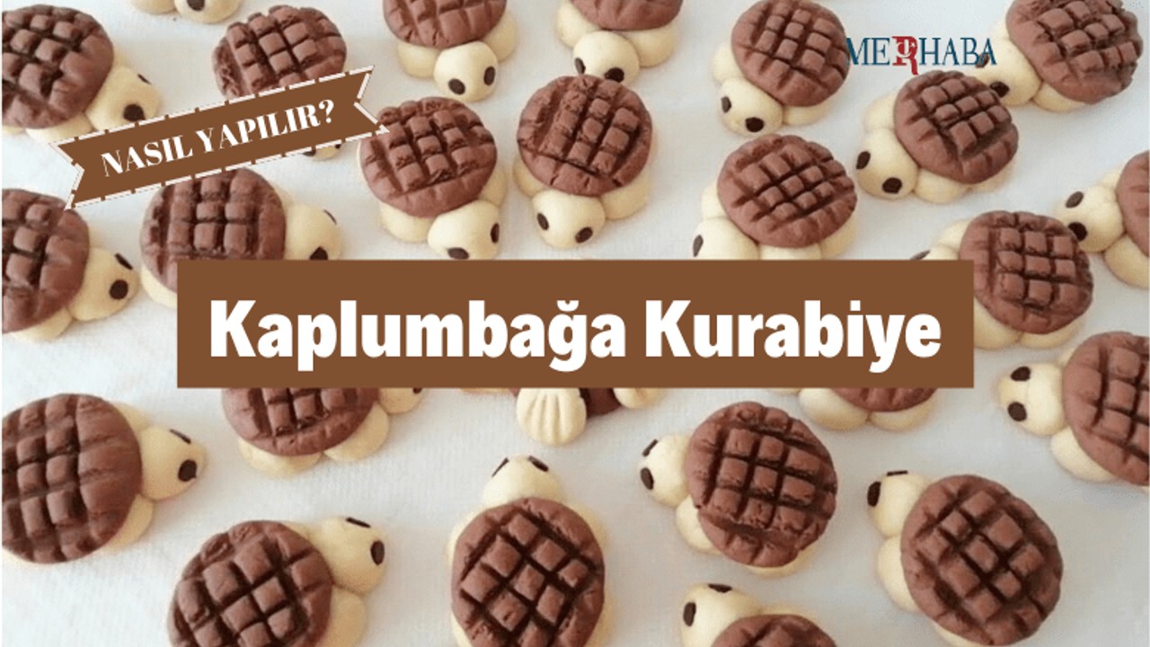 Çocuklara Kaplumbağa Kurabiyesi