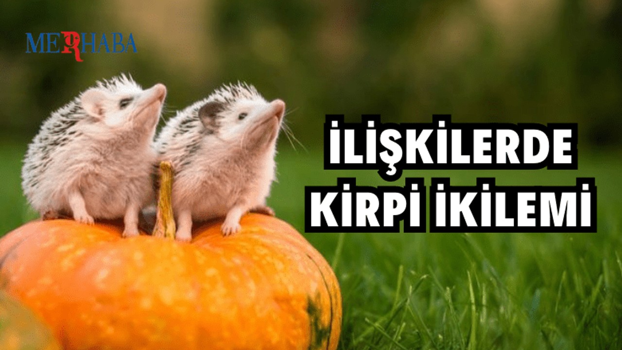 İlişkilerde Kirpi İkilemi