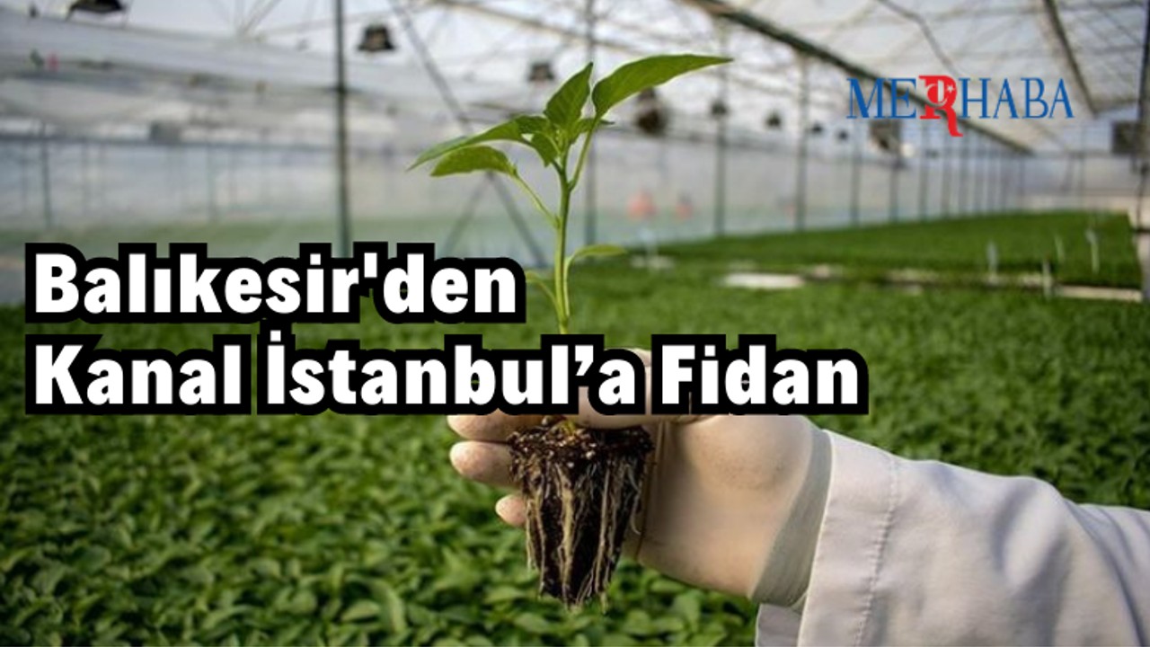 Balıkesir'den Kanal İstanbul’a Fidan