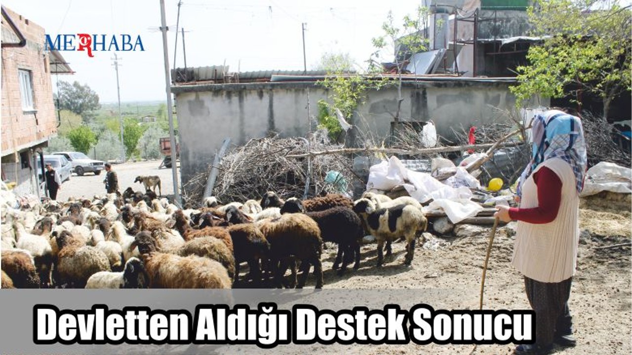 Devletten Aldığı Destek