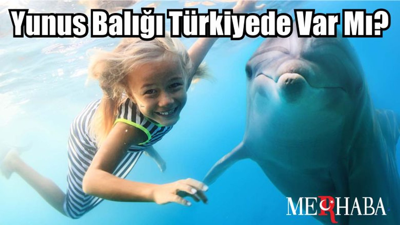 Yunus Balığı Türkiyede Var Mı?