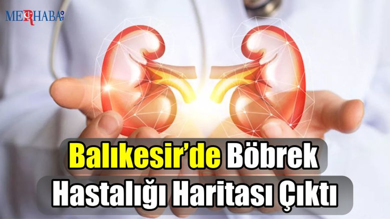 Balıkesir’de Böbrek Hastalığı Haritası Çıktı