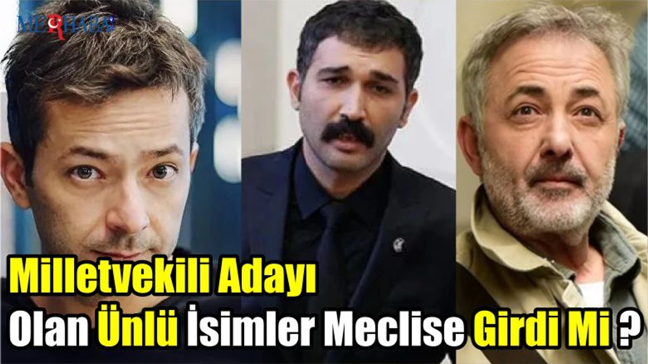 Milletvekili Adayı Olan Ünlü İsimler Meclise Girdi Mi ?