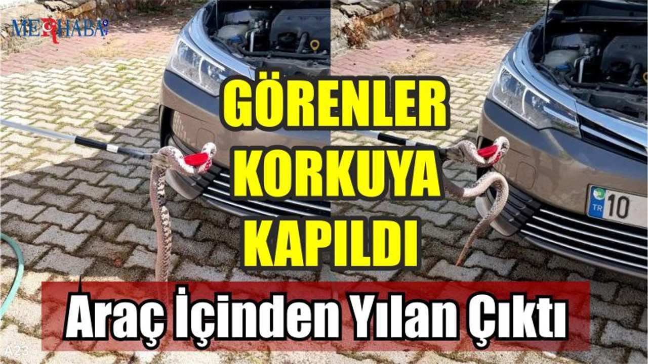 Araç İçinden Yılan Çıktı