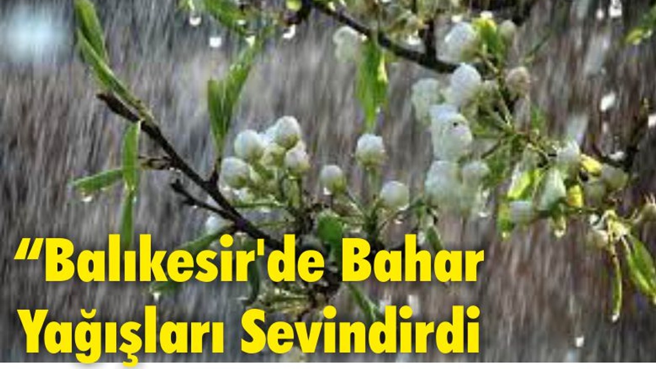 Balıkesir'de Bahar Yağışları Sevindirdi