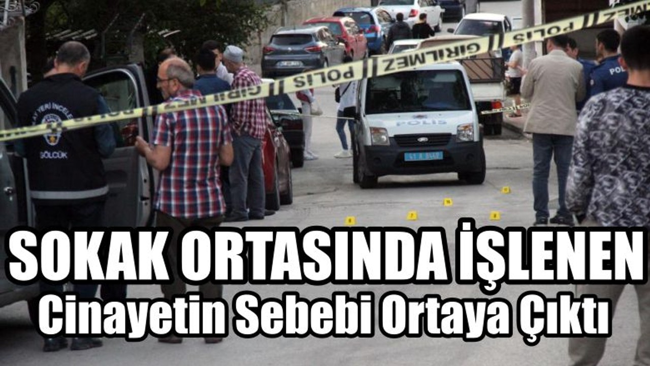 Cinayetin Sebebi Ortaya Çıktı