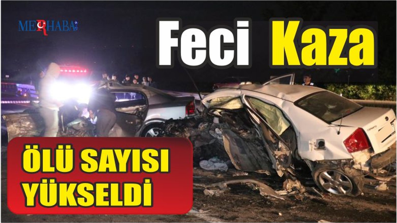 Feci Kaza