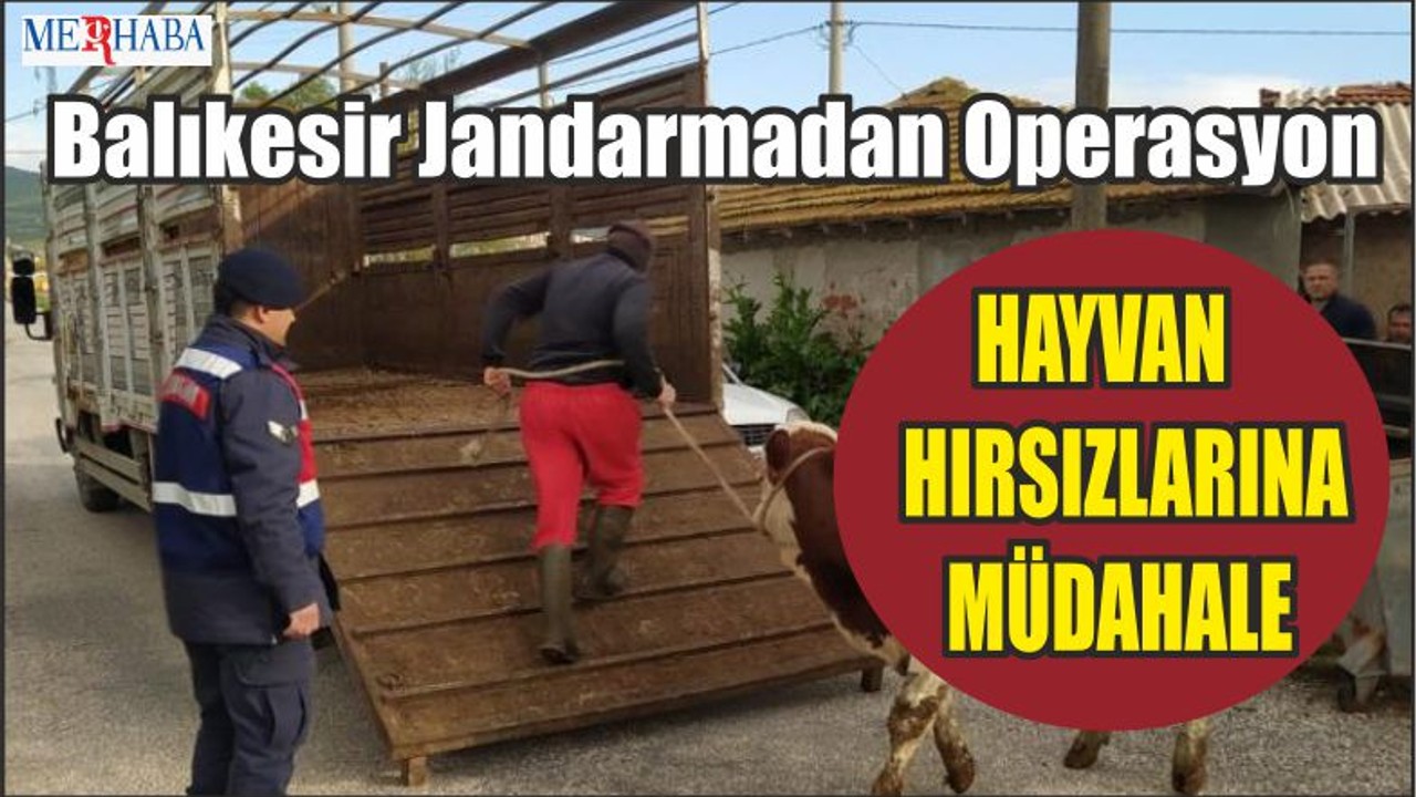 Balıkesir Jandarmadan Operasyon