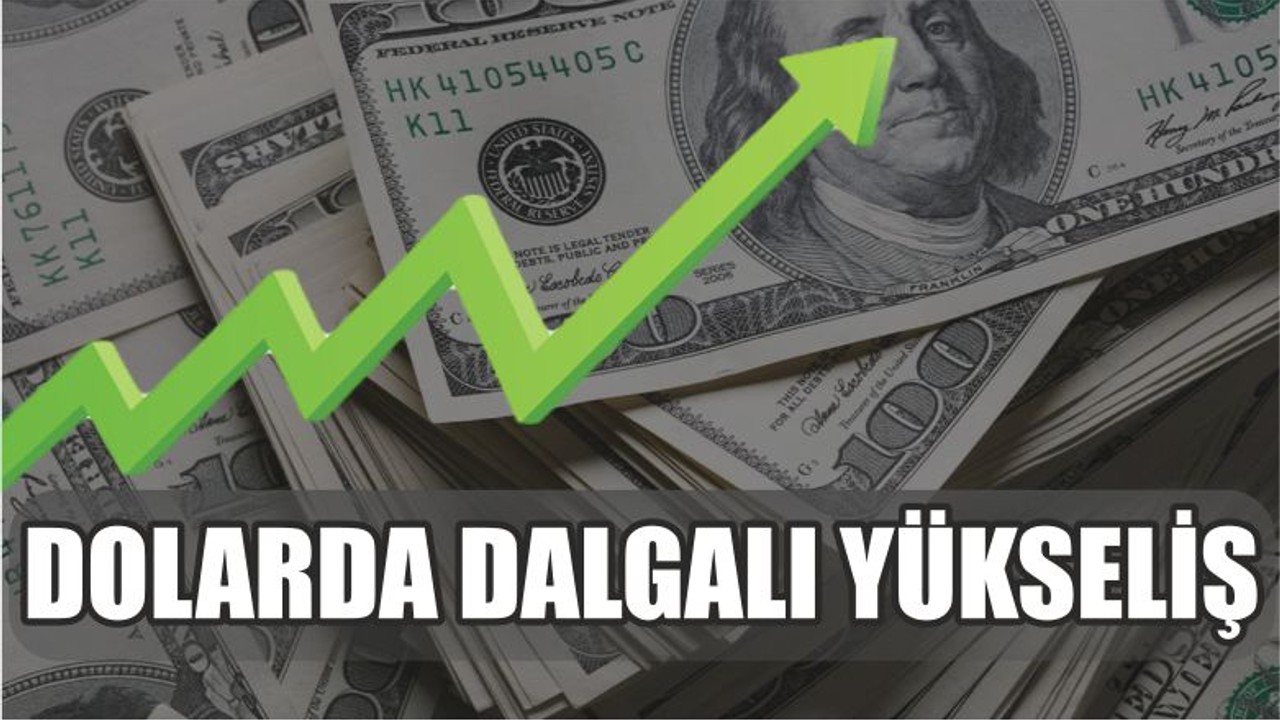 Dolarda Dalgalı Yükseliş