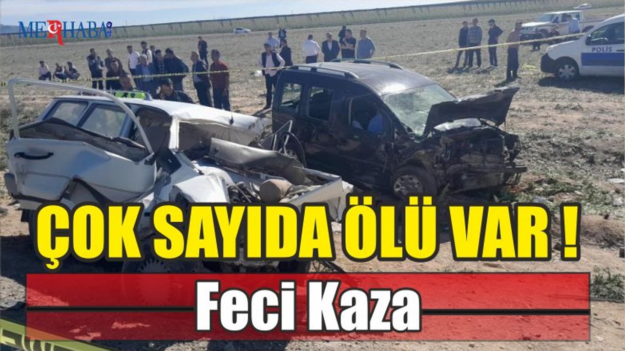 Feci Kaza