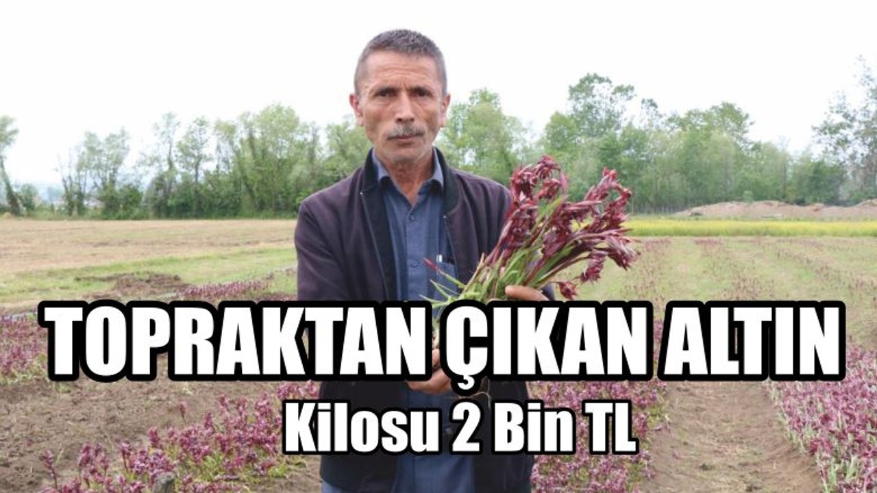 Kilosu 2 Bin TL