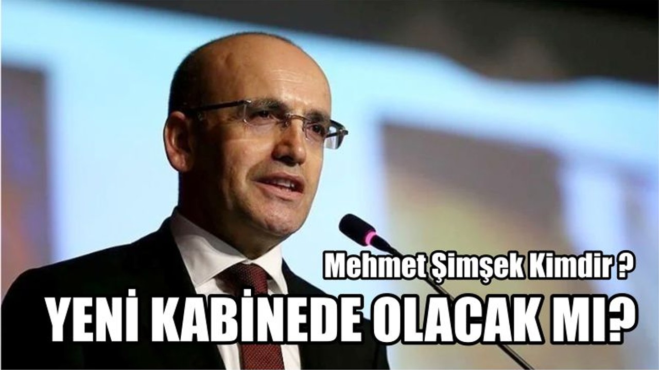 Mehmet Şimşek Kimdir ?