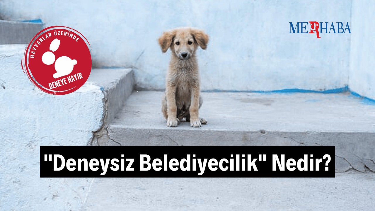 Deneysiz Belediyecilik Nedir?