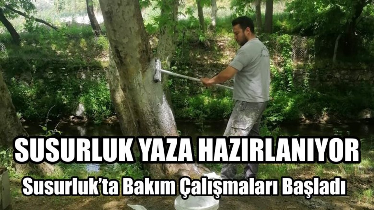 Susurluk’ta Bakım Çalışmaları Başladı