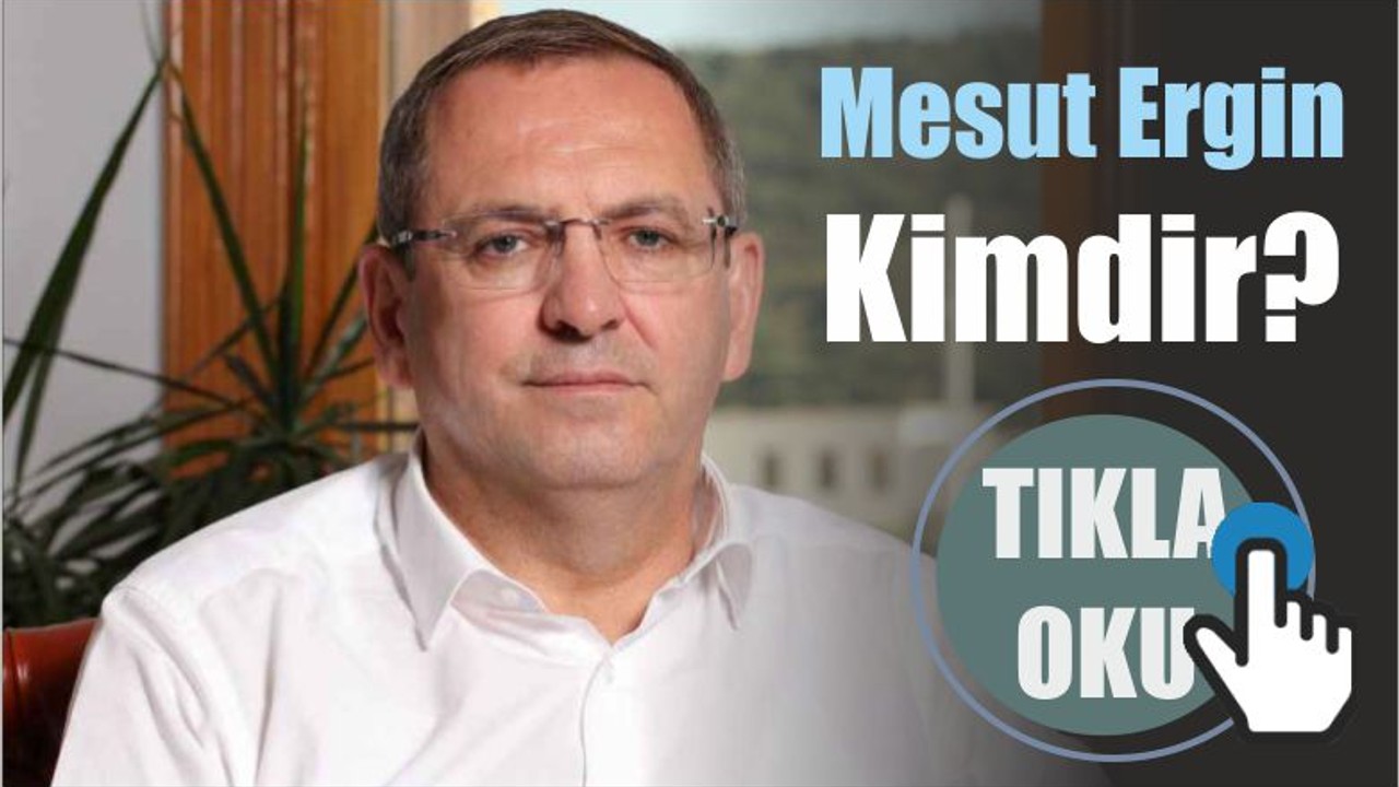 Mesut Ergin Kimdir?