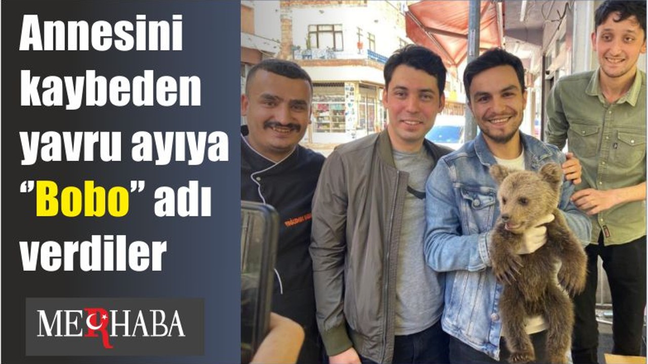 Annesini kaybeden yavru ayıya ‘’Bobo’’ adı verdiler