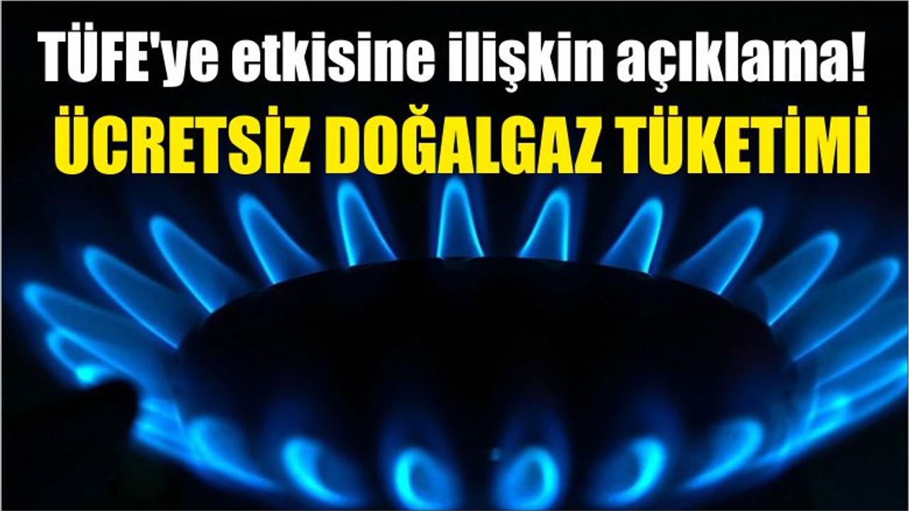 Ücretsiz doğalgaz tüketiminin TÜFE'ye etkisine ilişkin açıklama: