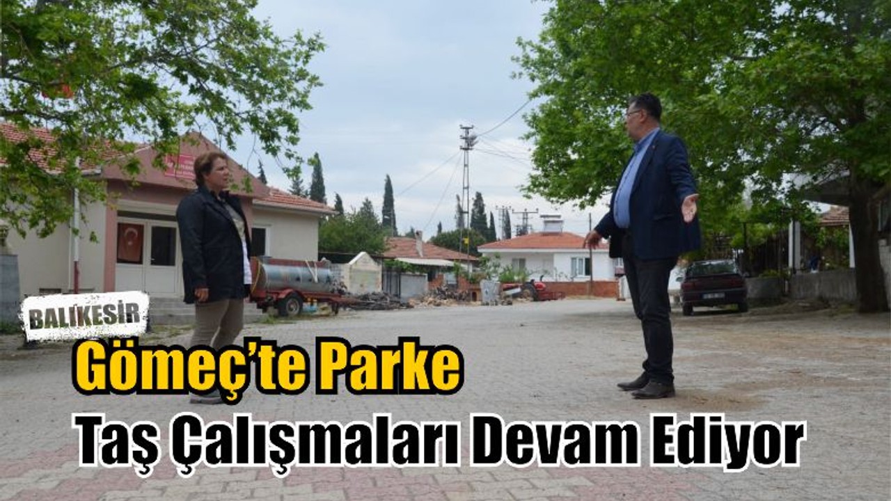Parke Taş Çalışmaları Devam Ediyor
