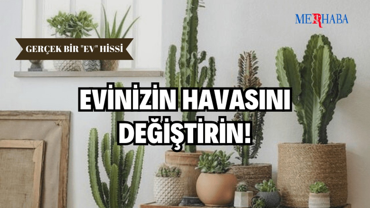 Evinizin Havasını Değiştirecek Fikirler