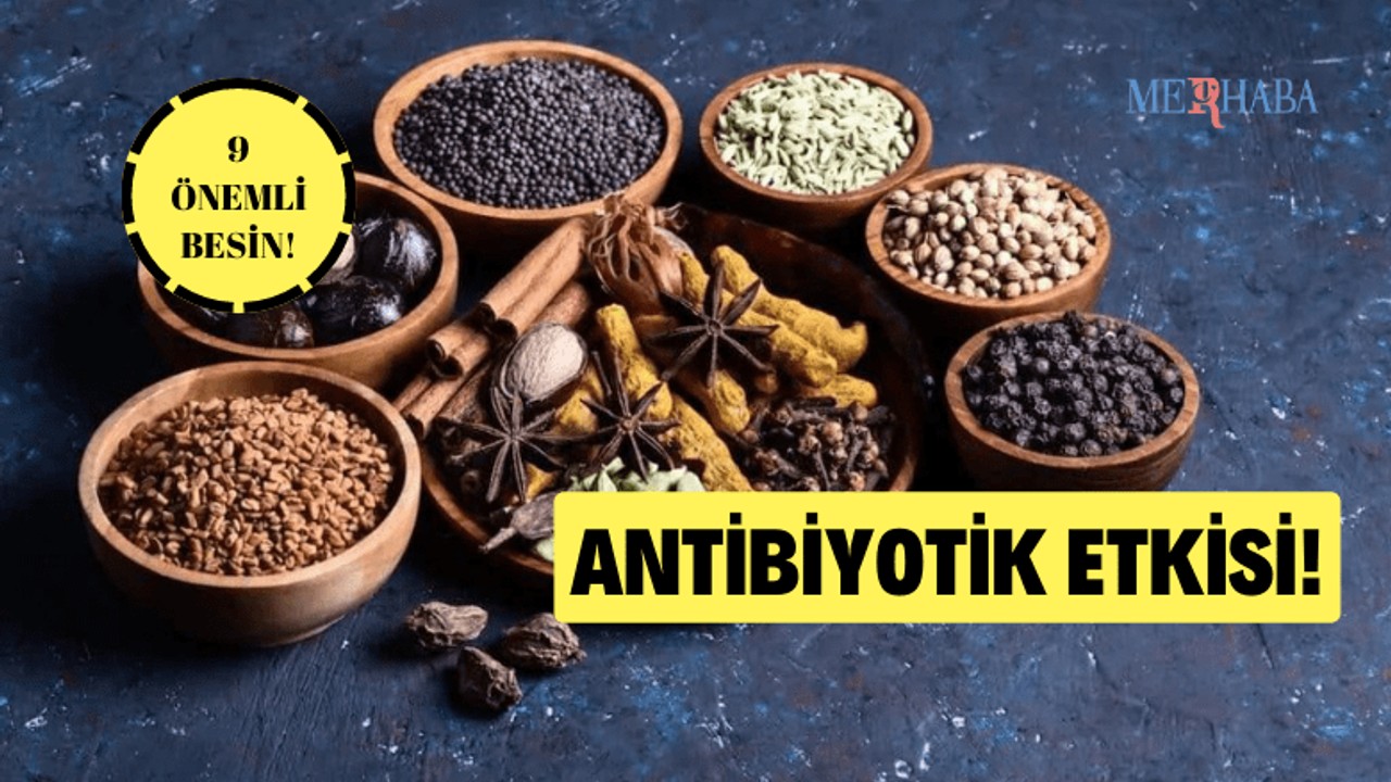 9 Doğal Antibiyotik