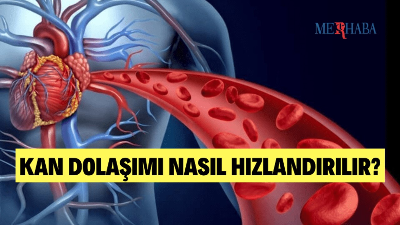 Kan Dolaşımını Hızlandıran Yöntemler