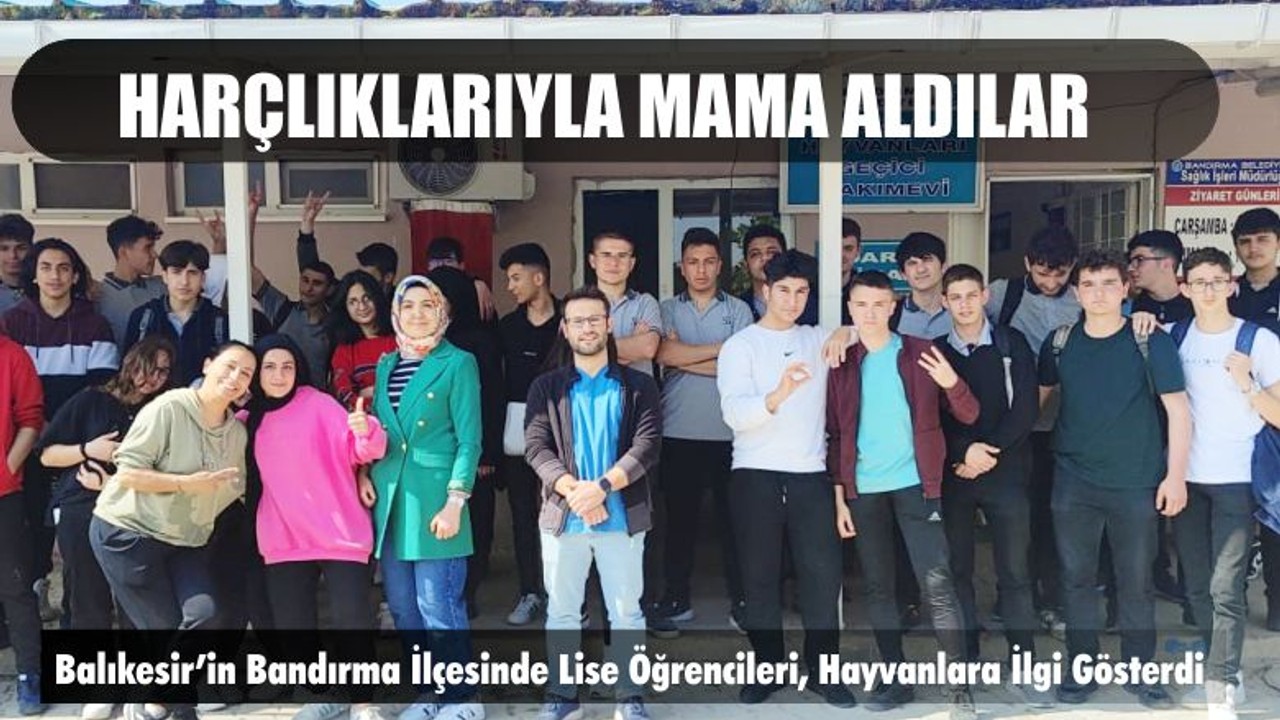 Harçlıklarıyla Mama Aldılar