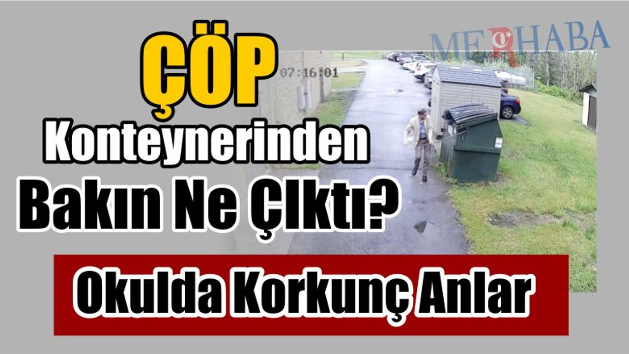 Çöp Konteynerinden Ayı Çıktı
