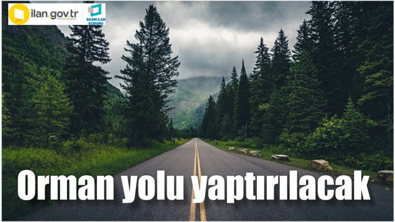 Orman yolu yaptırılacak