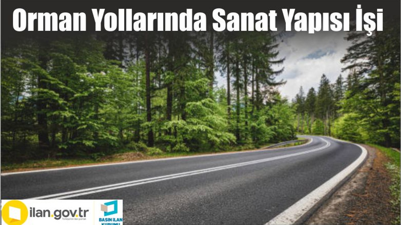 Orman Yollarında Sanat Yapısı İşi