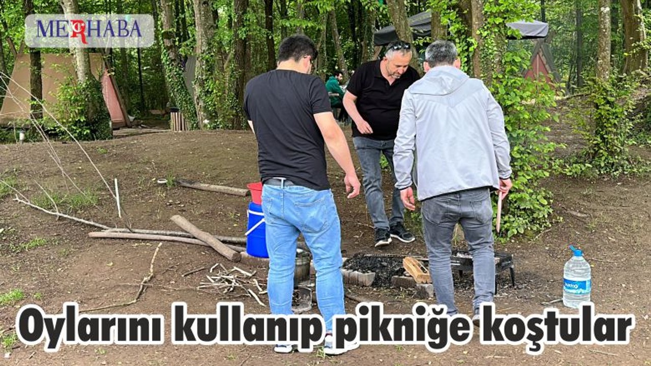 Oylarını kullanıp pikniğe koştular
