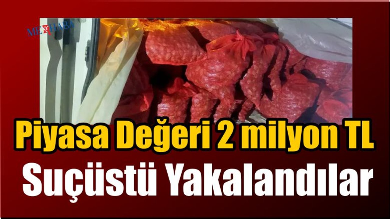 Suçüstü Yakalandılar
