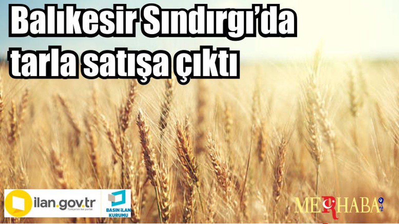 Balıkesir Sındırgı’da tarla satışa çıktı
