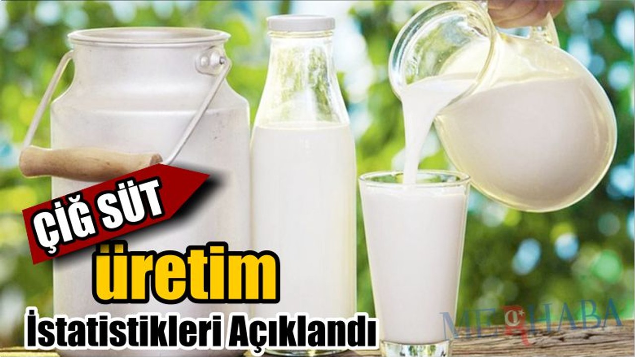 Çiğ Süt Üretimde İstatistik